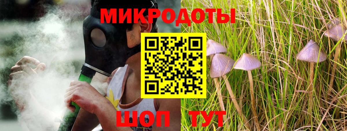 Галлюциногенные грибы Cubensis Благодарный