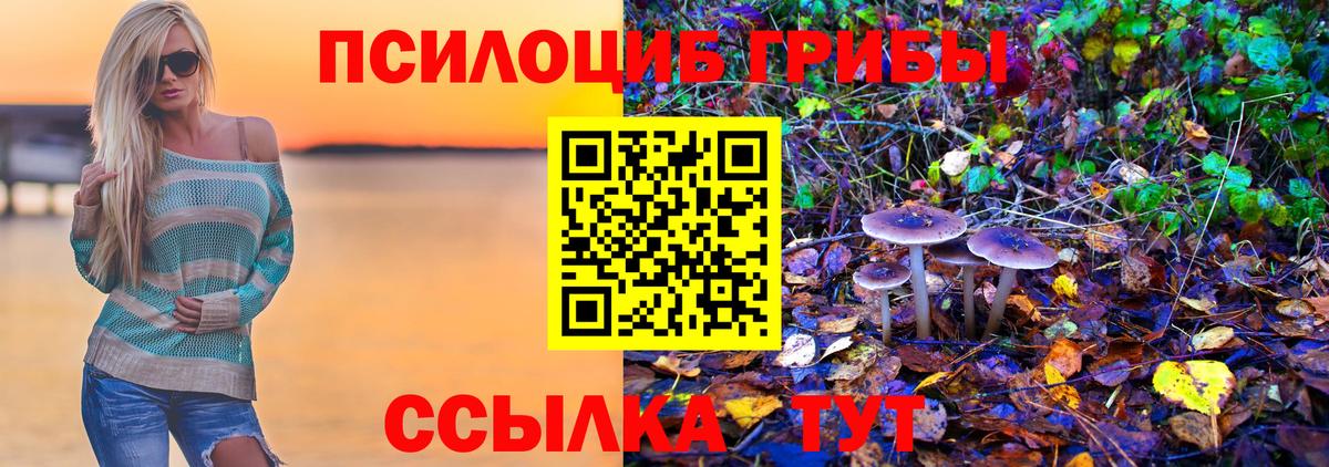 Псилоцибиновые грибы ЛСД  Псилоцибиновые грибы мицелий  Благодарный  Вход с VPN 