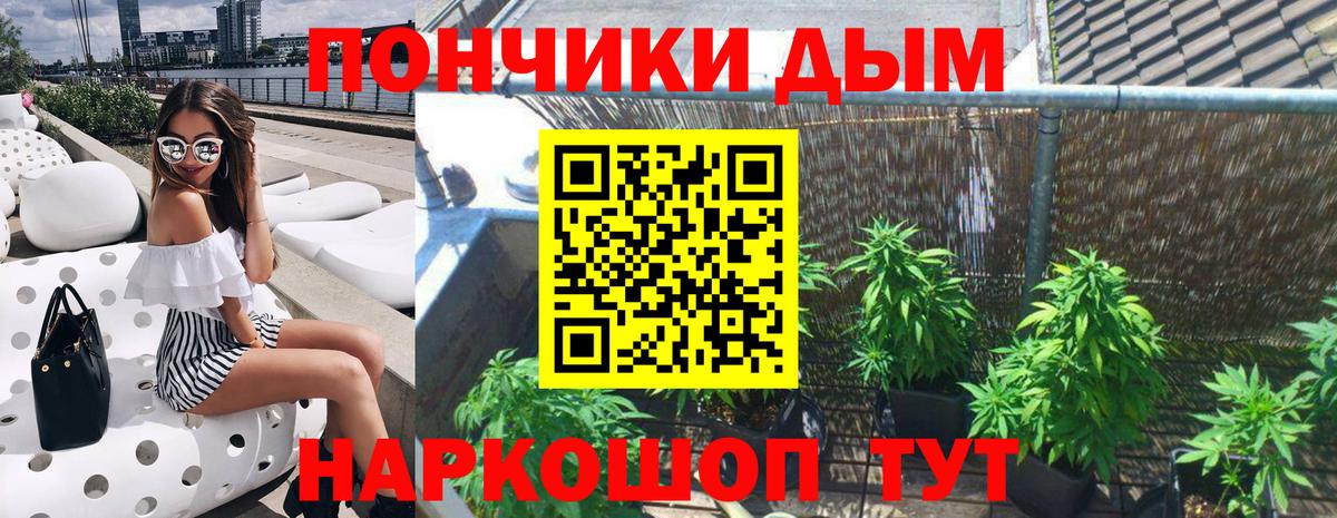 Канабис тримм  Каннабис VHQ  Шишки марихуана Bruce Banner  Вход с VPN  Благодарный 